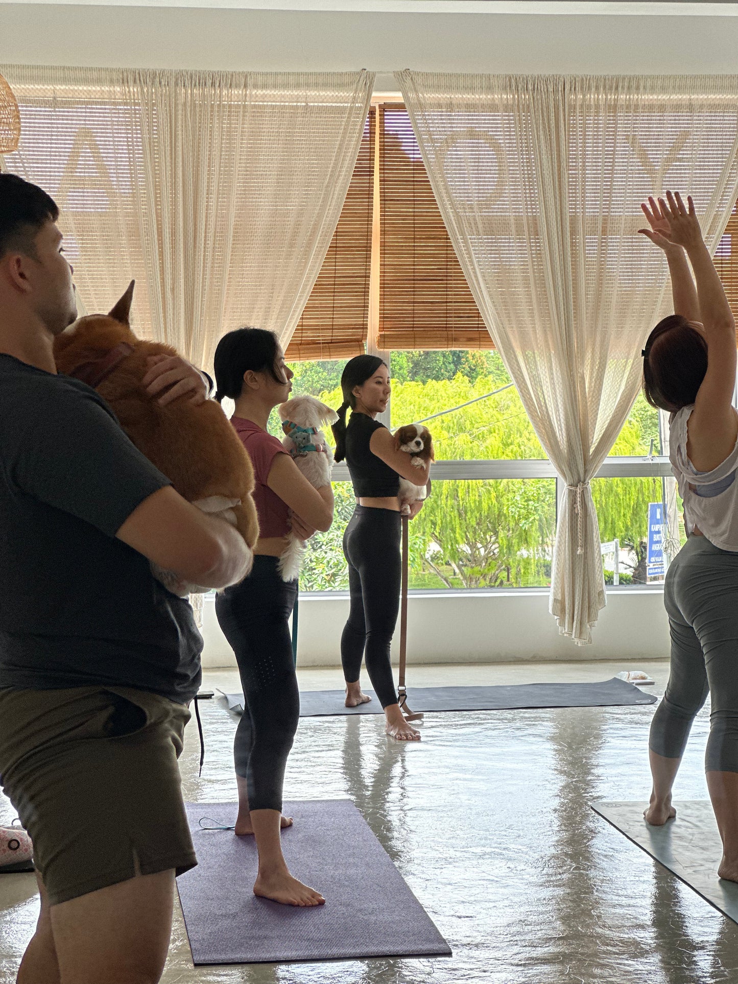 Dog Yoga For A Cause x Voice for Paws