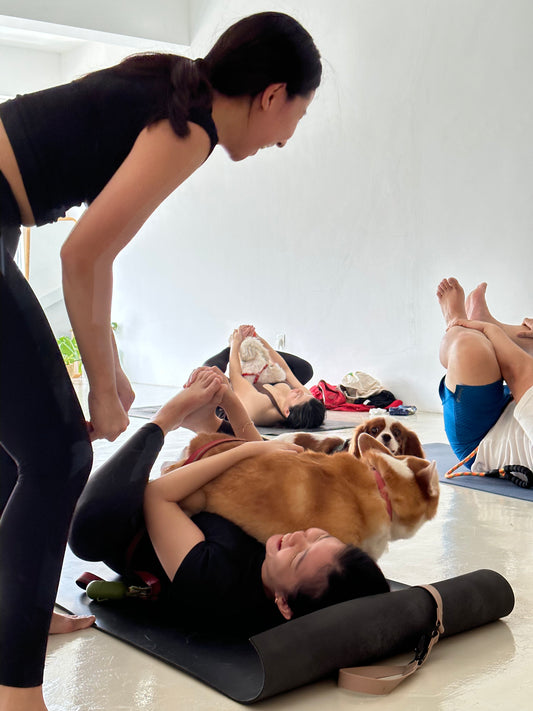Dog Yoga For A Cause x Voice for Paws