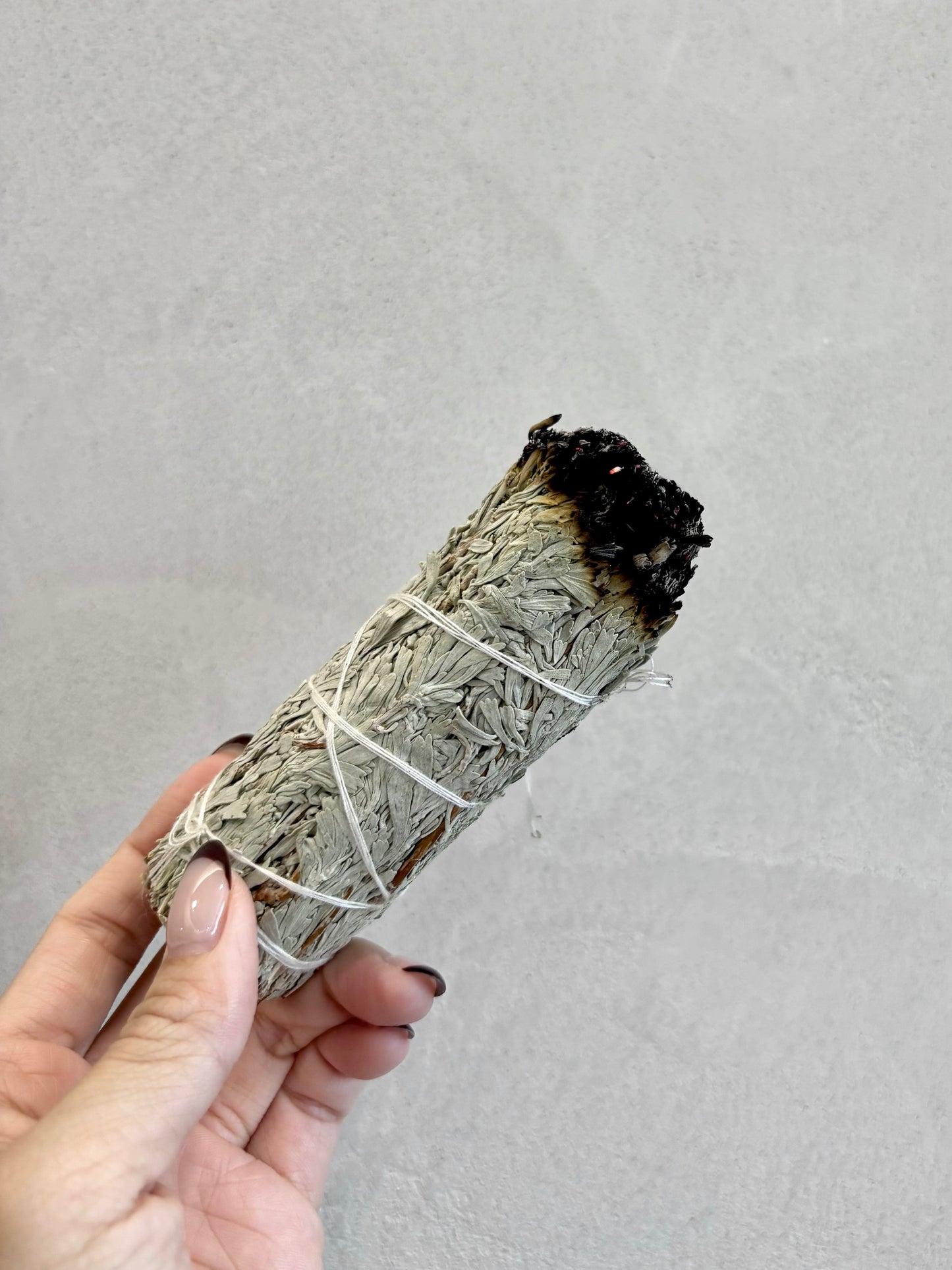 Californian Premium Blue Sage
