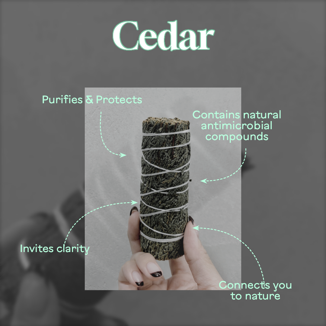 Wild Forest Cedar