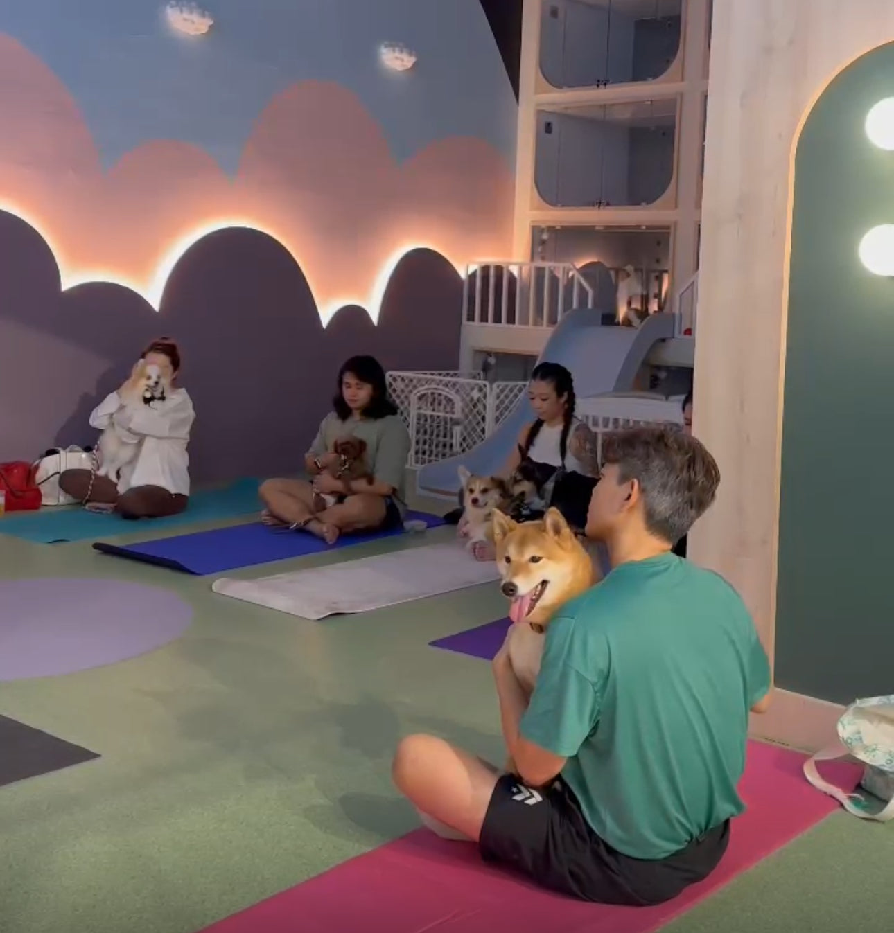 Dog Yoga For A Cause x Voice for Paws