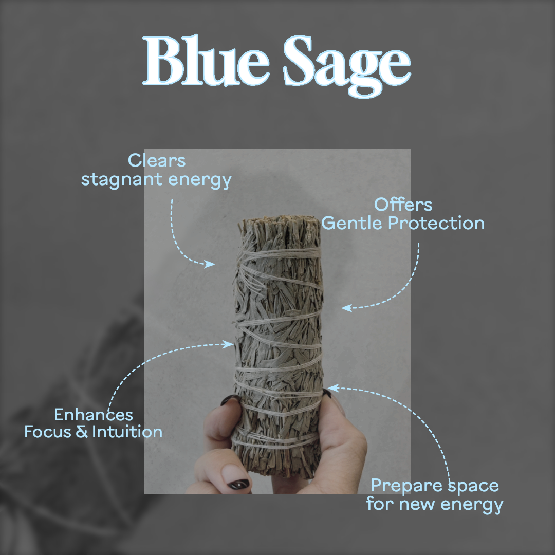 Californian Premium Blue Sage