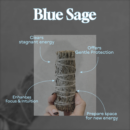 Californian Premium Blue Sage