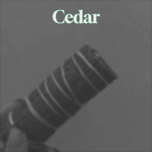 Wild Forest Cedar